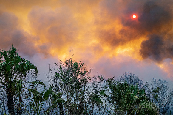 P_ENP_PrescribedFire0115