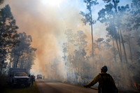 Prescribed Fire