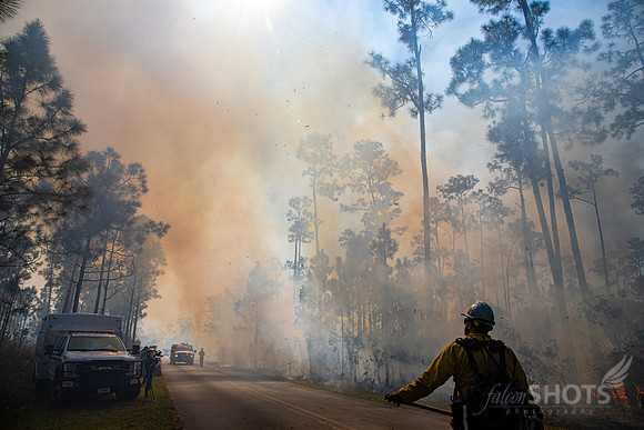 Prescribed Fire